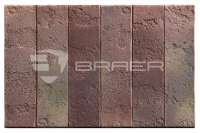 Кирпич облицовочный PRO 13.13 1 NF Braer с доставкой от официального дилера завода